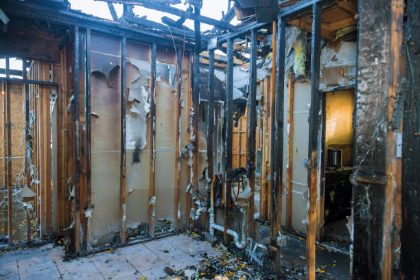Professional Smoke Damage Removal technician working in Bedford, VA